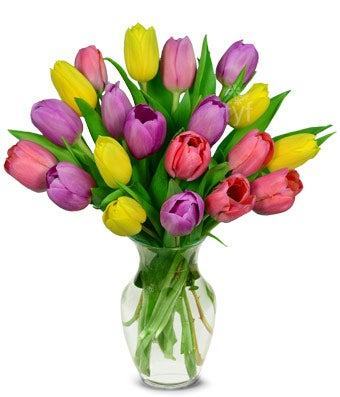 Sweetheart Tulip Bouquet  - 20 Stems